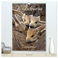 Vorderes Coverbild Wildschweine (hochwertiger Premium Wandkalender 2026 DIN A2 hoch), Kunstdruck in Hochglanz