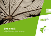 Vorderes Coverbild Sicher im Netz?!