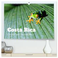 Vorderes Coverbild Costa Rica - Tierwelt und Landschaften (hochwertiger Premium Wandkalender 2025 DIN A2 quer), Kunstdruck in Hochglanz