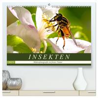Vorderes Coverbild INSEKTEN - Makrofotografie in freier Natur (hochwertiger Premium Wandkalender 2025 DIN A2 quer), Kunstdruck in Hochglanz