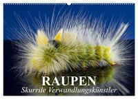 Vorderes Coverbild Raupen - Skurrile Verwandlungskünstler (Wandkalender 2025 DIN A2 quer), CALVENDO Monatskalender