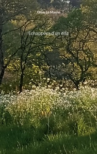 Vorderes Coverbild Echappées d'un elfe