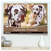 Vorderes Coverbild Gefleckte Freunde - Hunderasse Dalmatiner (hochwertiger Premium Wandkalender 2025 DIN A2 quer), Kunstdruck in Hochglanz