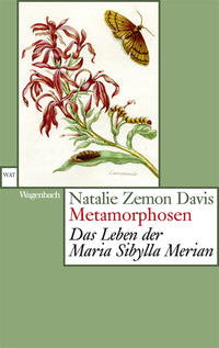 Vorderes Coverbild Metamorphosen