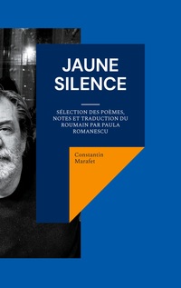 Vorderes Coverbild Jaune silence