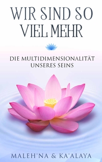 Vorderes Coverbild Wir sind so viel mehr