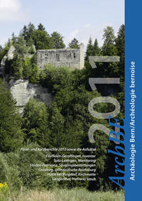 Vorderes Coverbild Archäologie Bern. Jahrbuch des Archäologischen Dienstes des Kantons Bern 2011
