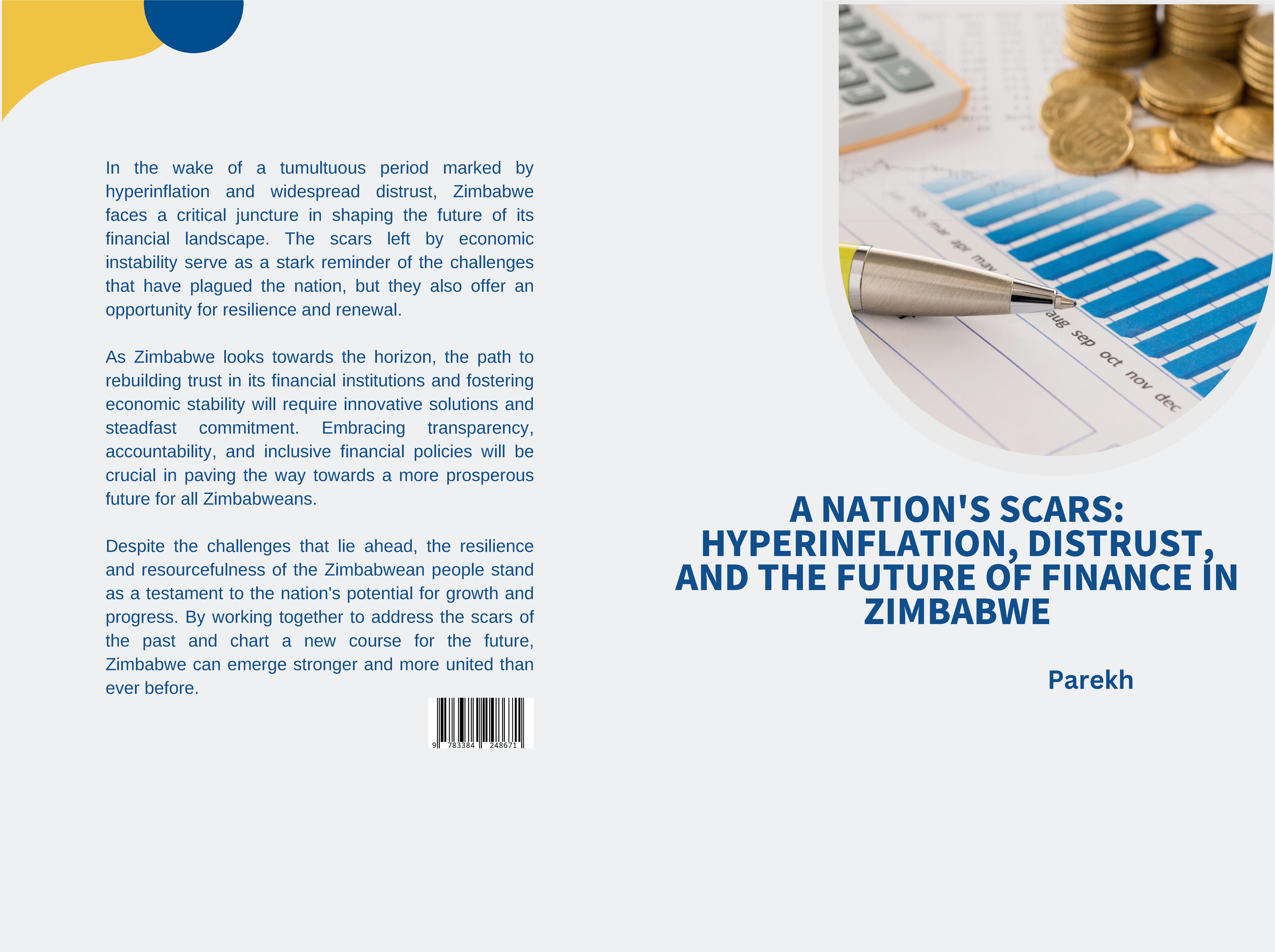 Gesamtes Coverbild A Nation's Scars: Hyperinflation, Distrust, and the Future of Finance in Zimbabwe