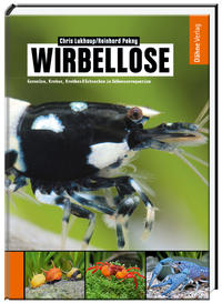 Vorderes Coverbild Wirbellose