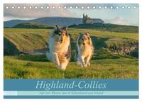 Vorderes Coverbild Highland-Collies - Auf vier Pfoten durch Schottland und Irland (Tischkalender 2025 DIN A5 quer), CALVENDO Monatskalender
