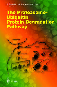 Vorderes Coverbild The Proteasome — Ubiquitin Protein Degradation Pathway