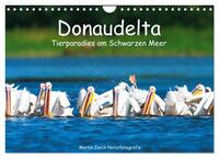 Vorderes Coverbild Donaudelta - Tierparadies am Schwarzen Meer (Wandkalender 2026 DIN A4 quer), CALVENDO Monatskalender