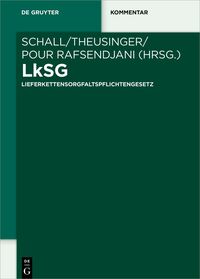 Vorderes Coverbild LkSG