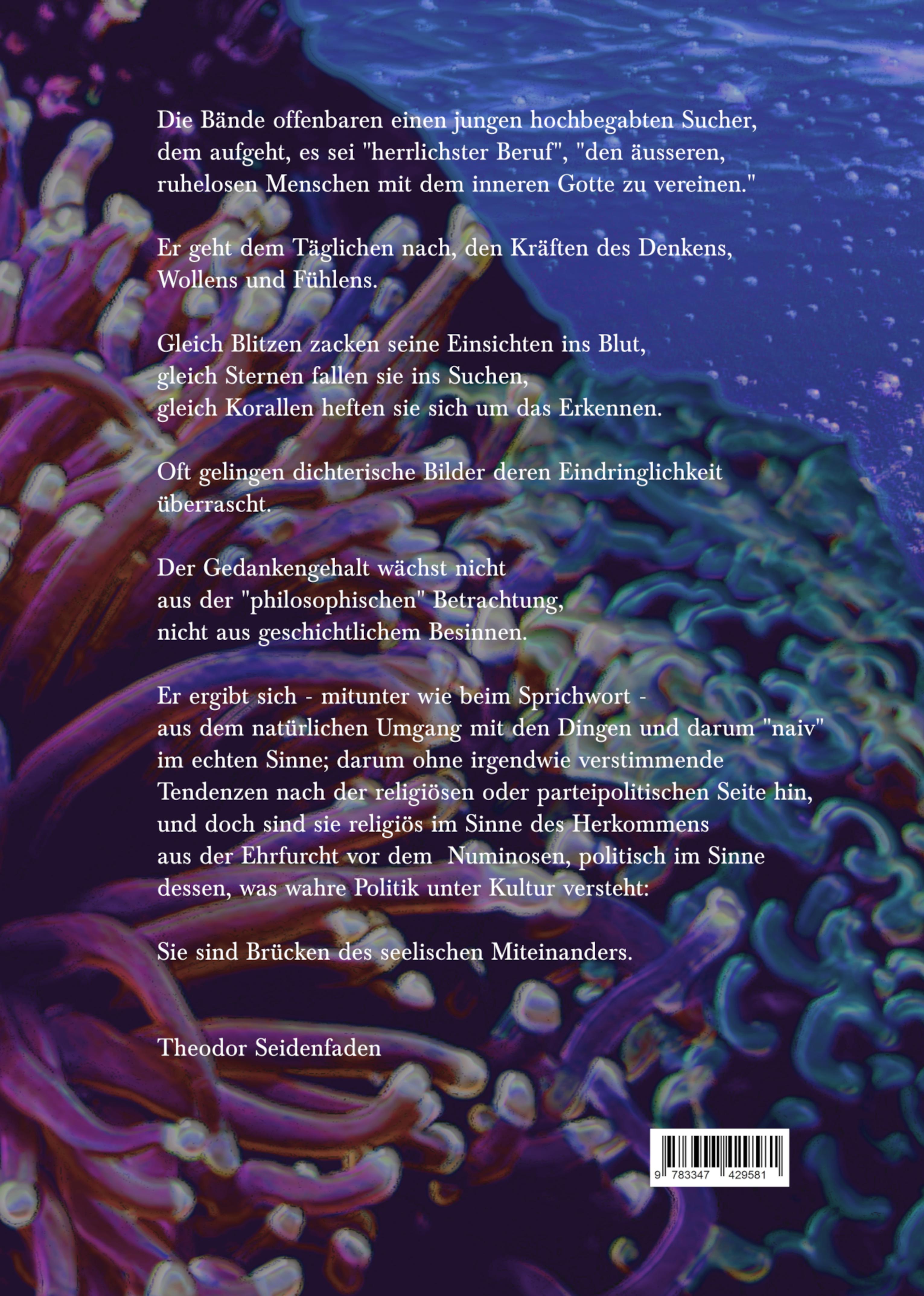 Rückseitencover Medium II