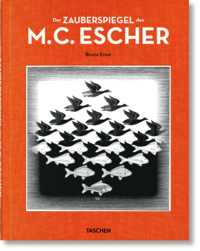 Vorderes Coverbild Der Zauberspiegel des M.C. Escher