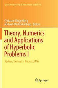 Vorderes Coverbild Theory, Numerics and Applications of Hyperbolic Problems I