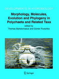 Vorderes Coverbild Morphology, Molecules, Evolution and Phylogeny in Polychaeta and Related Taxa