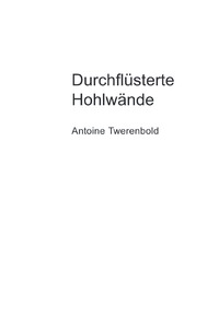 Vorderes Coverbild Durchflüsterte Hohlwände