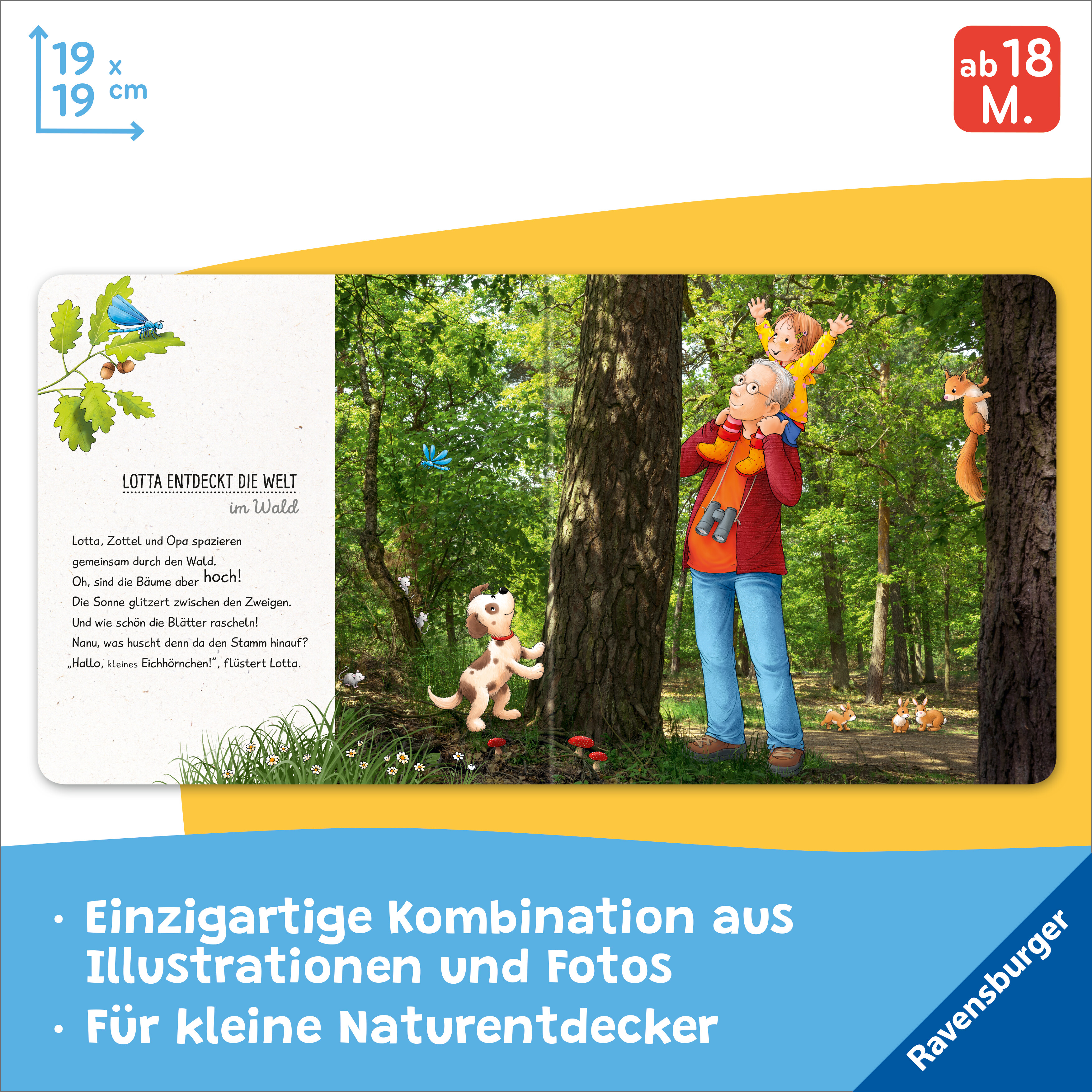 Beispielinhalt (Bild) Lotta entdeckt die Welt: Im Wald