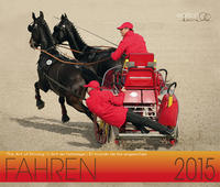 Vorderes Coverbild Fahren 2015