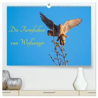Vorderes Coverbild Die Turmfalken von Wolfsanger (hochwertiger Premium Wandkalender 2025 DIN A2 quer), Kunstdruck in Hochglanz