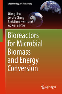 Vorderes Coverbild Bioreactors for Microbial Biomass and Energy Conversion