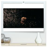 Vorderes Coverbild Trauringe (hochwertiger Premium Wandkalender 2025 DIN A2 quer), Kunstdruck in Hochglanz