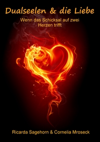 Vorderes Coverbild Dualseelen & die Liebe