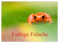 Vorderes Coverbild Farbige Frösche (Wandkalender 2025 DIN A2 quer), CALVENDO Monatskalender