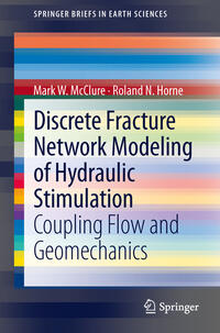 Vorderes Coverbild Discrete Fracture Network Modeling of Hydraulic Stimulation