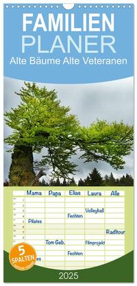 Vorderes Coverbild Familienplaner 2025 - Alte Bäume Alte Veteranen mit 5 Spalten (Wandkalender, 21 x 45 cm) CALVENDO