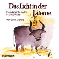 Vorderes Coverbild Das Licht in der Laterne