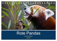 Vorderes Coverbild Rote Pandas - geschickte Kletterer (Tischkalender 2025 DIN A5 quer), CALVENDO Monatskalender