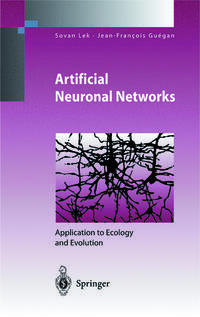Vorderes Coverbild Artificial Neuronal Networks