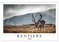 Vorderes Coverbild Rentiere (Wandkalender 2026 DIN A3 quer), CALVENDO Monatskalender