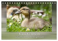 Vorderes Coverbild Laufenten - tierisch liebenswerte Zeitgenossen (Tischkalender 2026 DIN A5 quer), CALVENDO Monatskalender