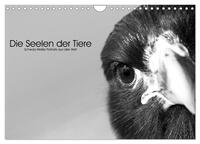 Vorderes Coverbild Die Seelen der wilden Tiere (Wandkalender 2025 DIN A4 quer), CALVENDO Monatskalender