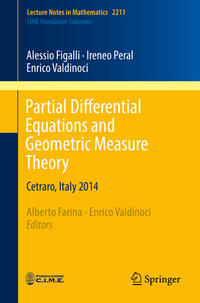 Vorderes Coverbild Partial Differential Equations and Geometric Measure Theory