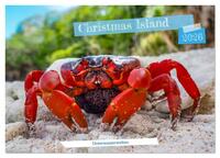 Vorderes Coverbild Unterwasserwelt Christmas Island (Tischkalender 2026 DIN A5 quer), CALVENDO Monatskalender