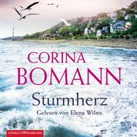 Vorderes Coverbild Sturmherz