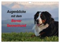 Vorderes Coverbild Augenblicke mit dem Berner Sennenhund (Wandkalender 2025 DIN A4 quer), CALVENDO Monatskalender