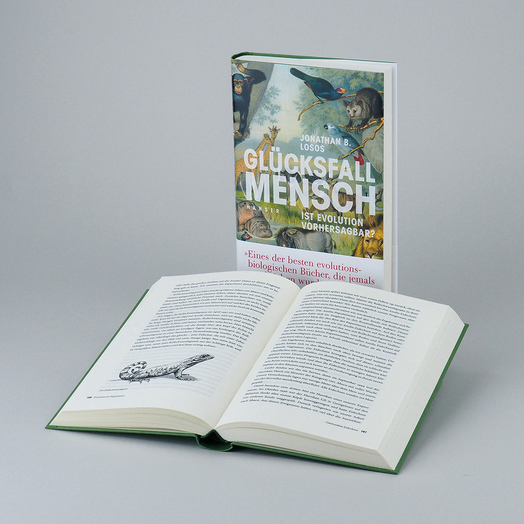 Beispielinhalt (Bild) Glücksfall Mensch
