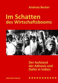 Vorderes Coverbild Im Schatten des Wirtschaftsbooms