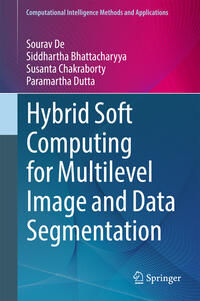 Vorderes Coverbild Hybrid Soft Computing for Multilevel Image and Data Segmentation