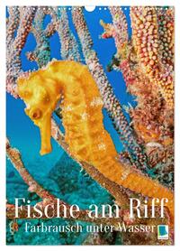 Vorderes Coverbild Farbrausch unter Wasser: Fische am Riff (Wandkalender 2026 DIN A3 hoch), CALVENDO Monatskalender