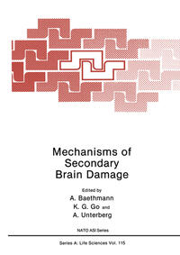 Vorderes Coverbild Mechanisms of Secondary Brain Damage