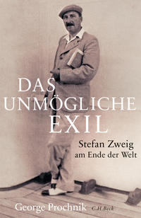 Vorderes Coverbild Das unmögliche Exil