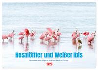 Vorderes Coverbild Rosalöffler und weißer Ibis (Tischkalender 2026 DIN A5 quer), CALVENDO Monatskalender