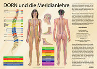 Vorderes Coverbild DORN und die Meridianlehre