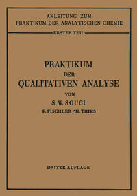 Vorderes Coverbild Praktikum der qualitativen Analyse